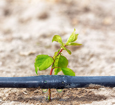 Drip Tape Market 2019-2023